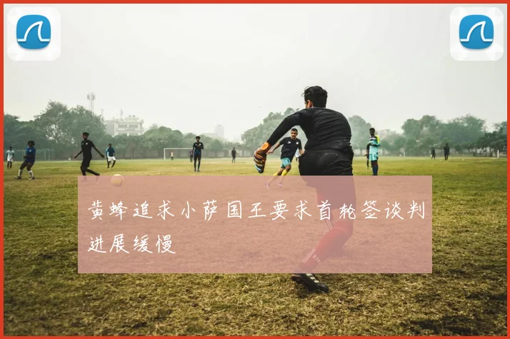 黄蜂追求小萨国王要求首轮签谈判进展缓慢